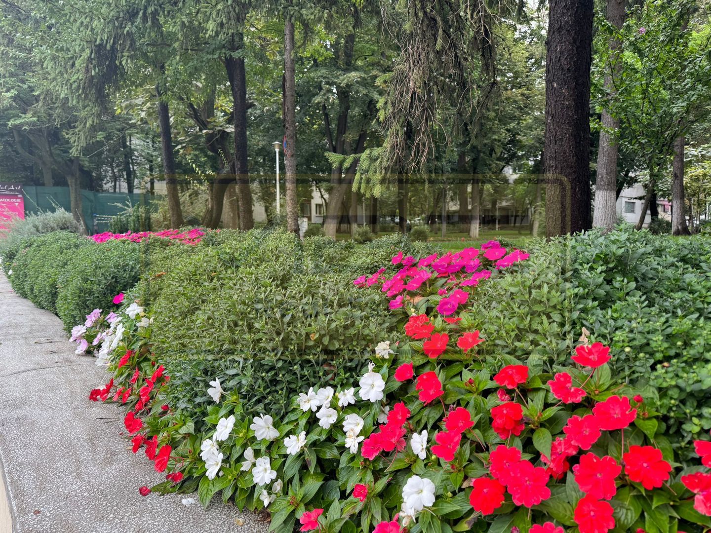 Apartament 2 camere decomandat Copou - 10 min Universitatea Al.I Cuza - Poză 20