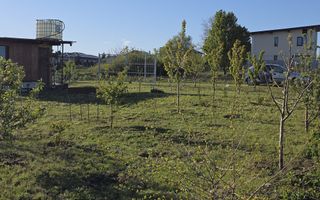 Teren de casă în zonă rezidențială Valea Lupului / Rediu – Platoul Beldiman - Poză 6