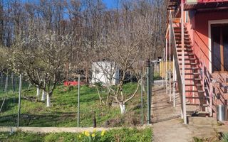 Casă P+M cu 1.558 mp teren, livadă și garaj | Barza, Gorj Comision 0%  - Poză 12