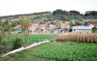 De vanzare 2 case cu 4.900 mp teren, Livezeni 0% comision - Poză 2