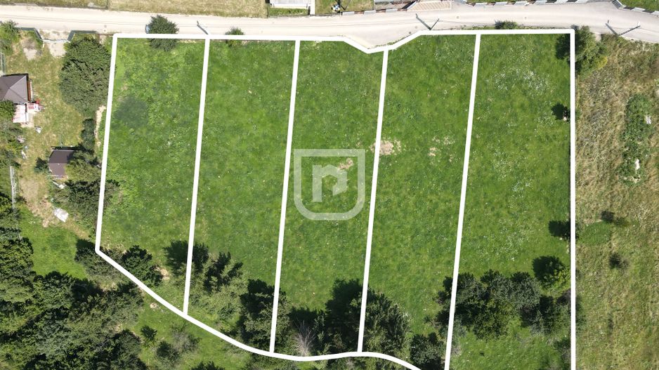 Teren INTRAVILAN Gura Humorului Arinis Bucovina - Poză 3