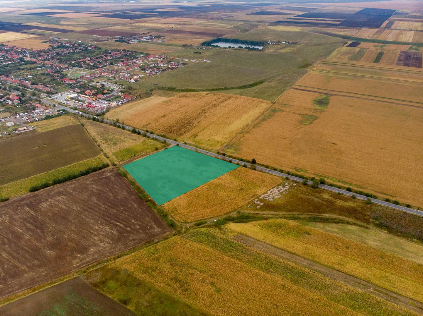 Teren de 19798mp în Zimandu Nou - Poză 1