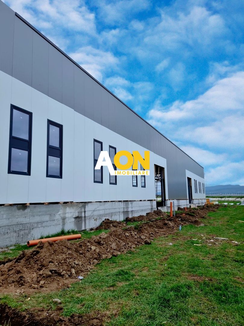 Hala industriala, 1300 mp construiti, 3000 mp teren, toate utilitatile - Poză 9