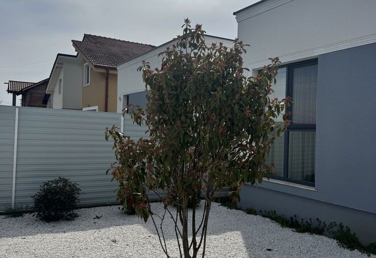 Duplex pe  Parter -Dumbravita-GATA DE MUTARE - Poză 2