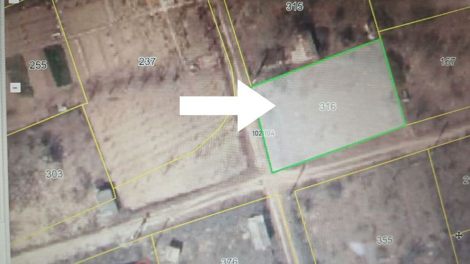 Lot-pomicol 5,9 ari - Cobusca Nouă, Anenii Noi - Poză 1