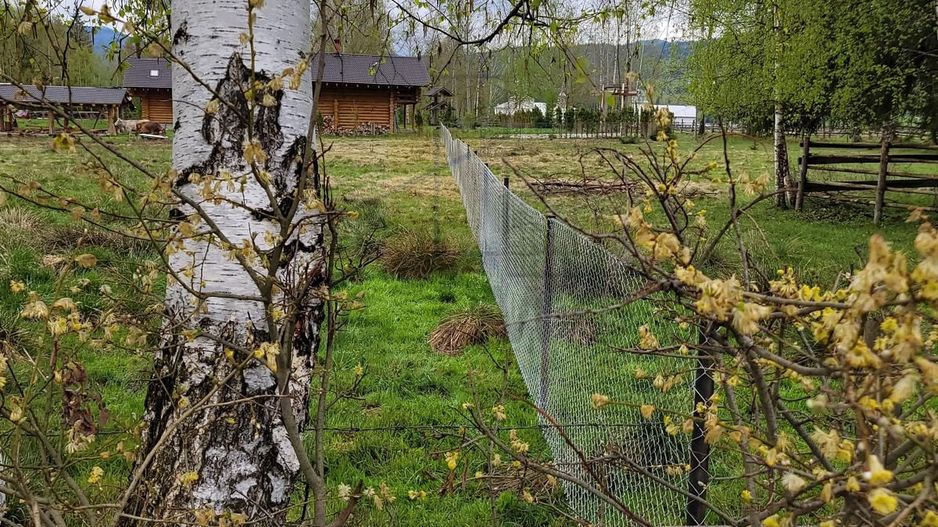 Teren Saru Dornei / Neagra Sarului - oportunitate investitie - Poză 6