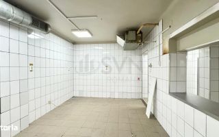 Spatiu pentru activitati comerciale I Laborator - Spatiu productie - Poză 5