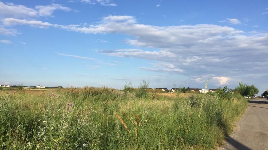 Teren intravilan in comuna Domnesti - sat Teghes - Poză 8