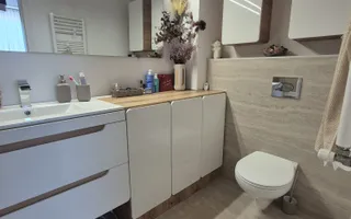 3 CAMERE CU TERASA/ MOBILAT GATA DE MUTARE - Poză 14