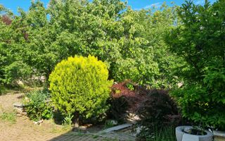 INCHIRIERE -2 VILE -ZONA MOGOSOAIA - Poză 66