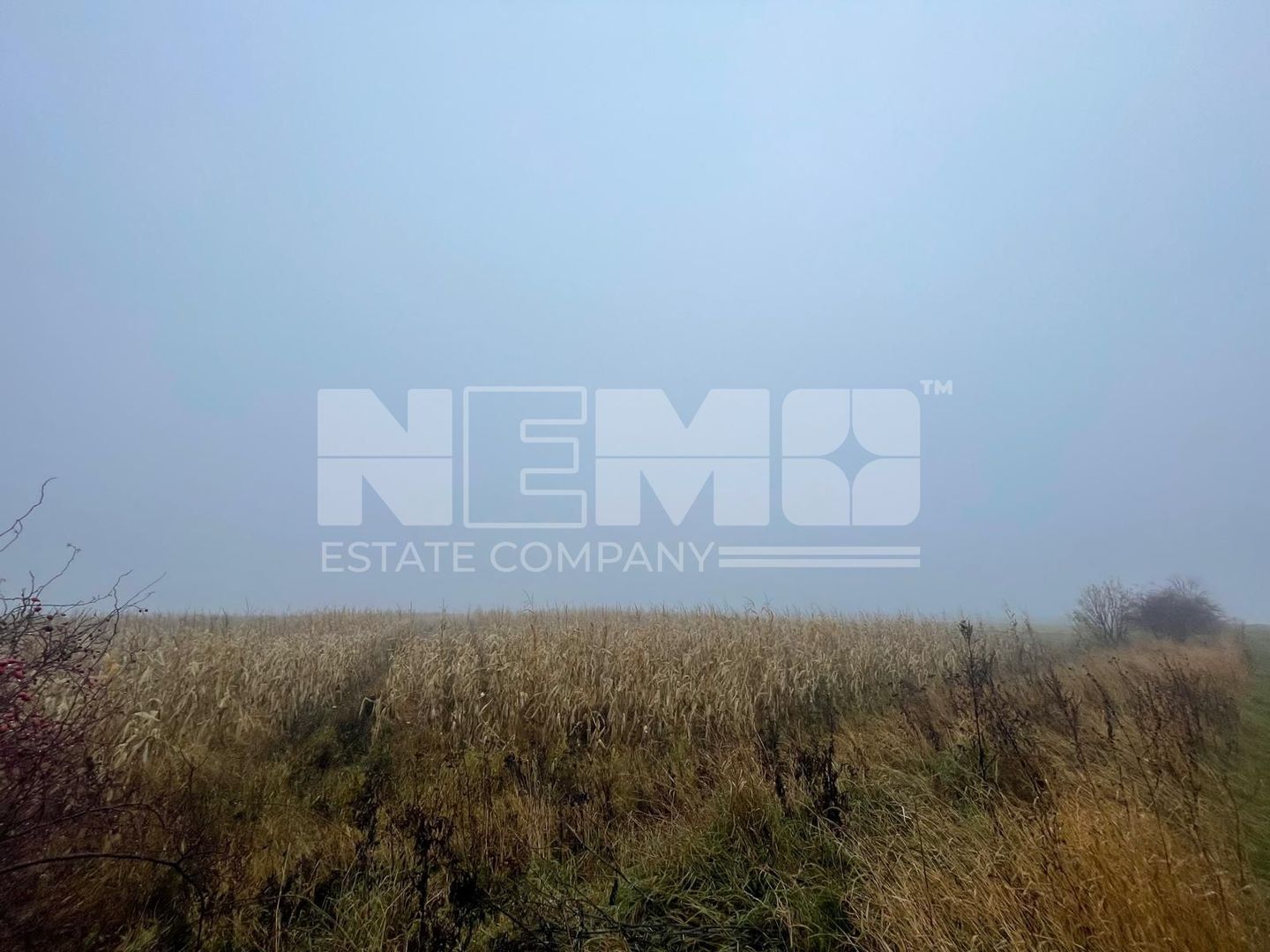 TEREN EXTRAVILAN | DOUA PARCELE 2.84 HA| IDEAL AGRICOL | DARMANESTI - Poză 18