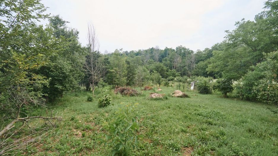 Teren 2240 mp intravilan + casa batraneasca Hintesti-Basangesti - Poză 6
