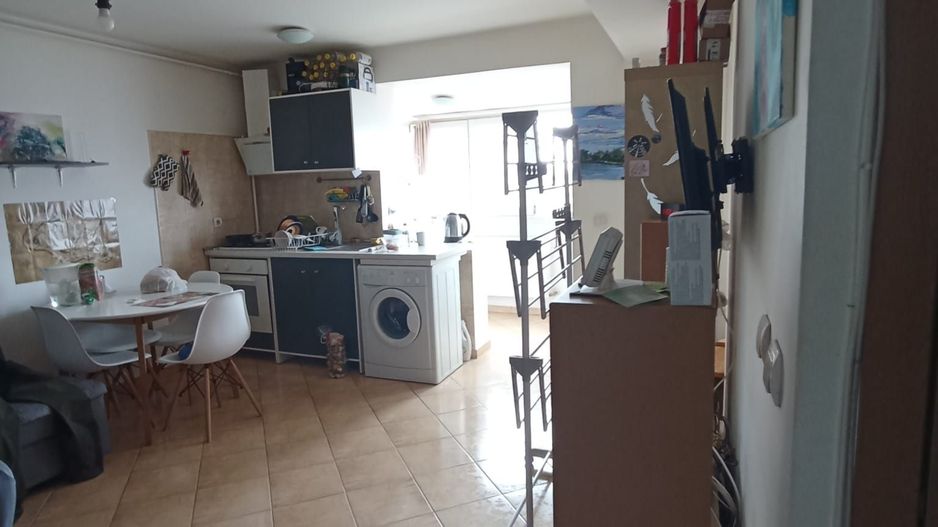 Doamna Ghica Colentina - Poză 1