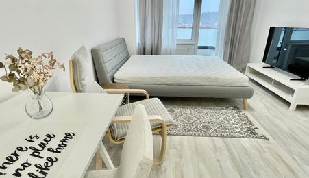 1 CAM CENTRU PALAS , PARCARE, UNIREA TOWERS 450 euro, comision 225euro