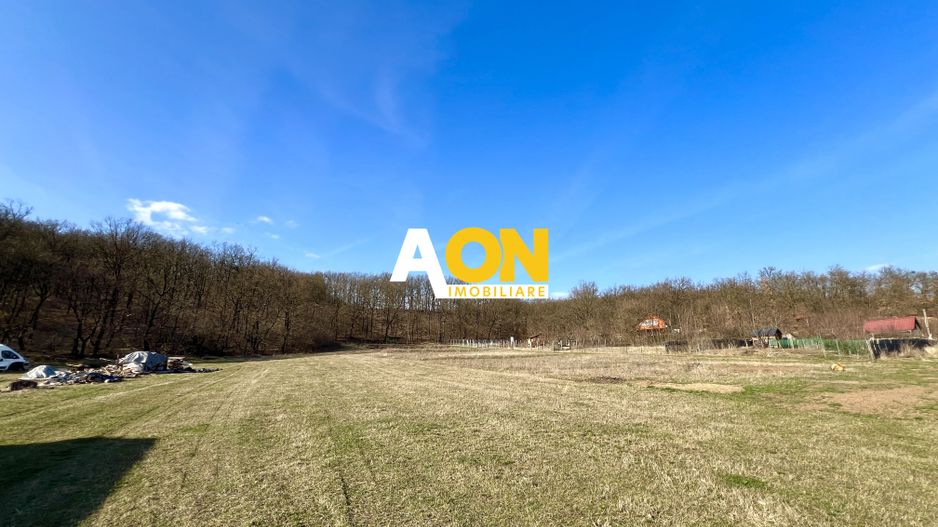 Teren intravilan pretabil cabana/pensiune, aproape de padure, 2100MP - Poză 5