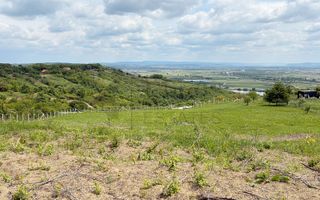 Teren 9461 mp cu panorama in Cartierul Podgoria din Oradea - Poză 2