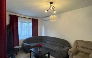 Apartament 2 camere cu gradina Editurii - Lunca Cetatuii - Poză 2