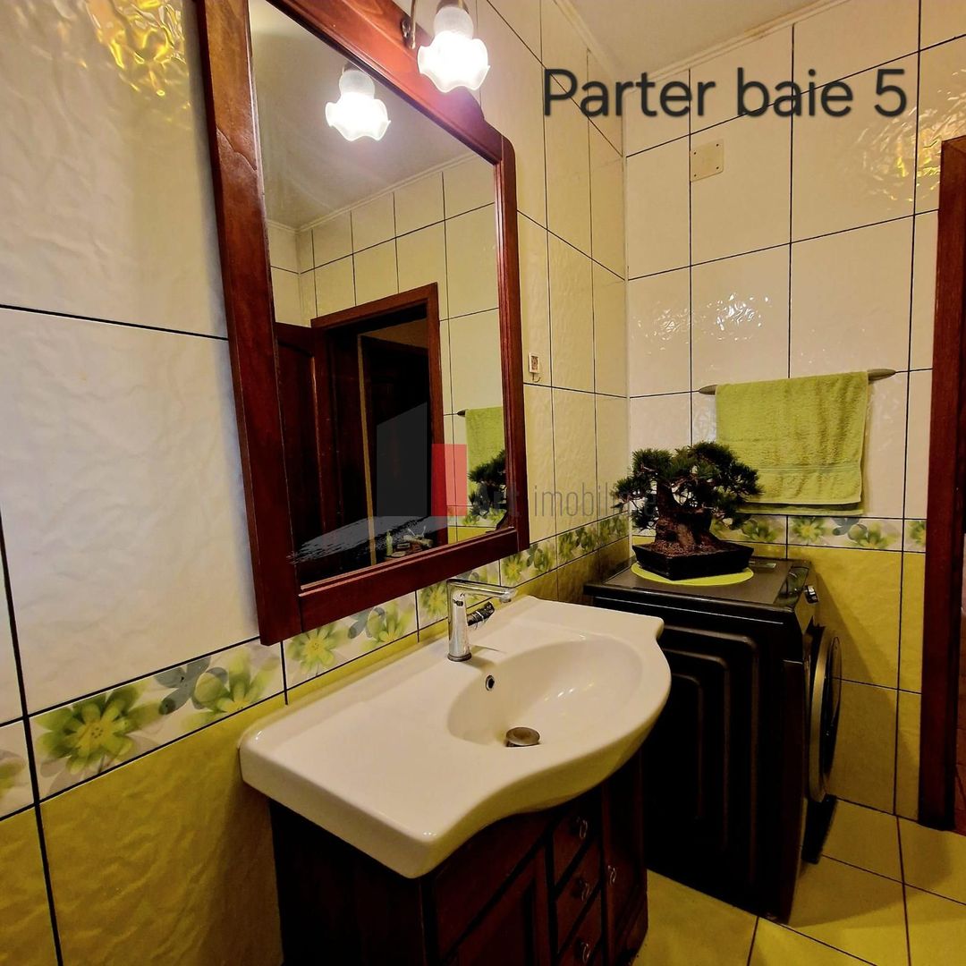 Vila cu gradina impresionanta | Prosumator | Tancabesti - Poză 24