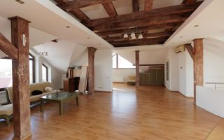 Chirie, casă, 3 nivele, strada Frumoasa, Centru - Poză 34