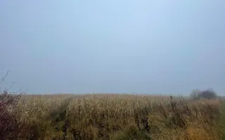 TEREN EXTRAVILAN | DOUA PARCELE 2.84 HA| DARMANESTI - Poză 18