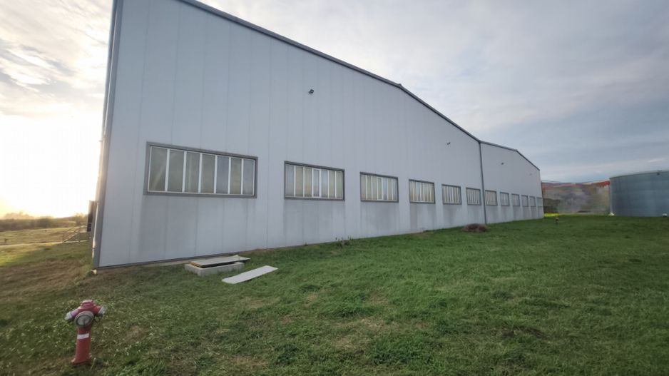 Hala pentru producție/ depozitare zona Nord -Vest - Poză 5