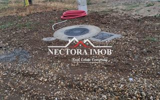 NECTORA IMOB-Casa 4 camere,2 bai,Zona Paleu,Toate Utilitatile, 572 mp - Poză 5