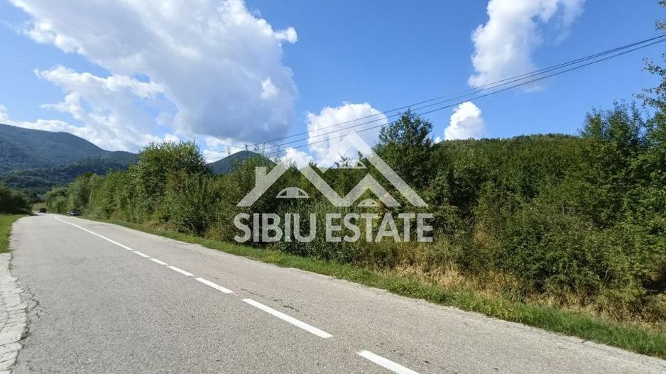 Teren  construibil ,la sosea, intre Vale si Sibiel, zona cu potential - Poză 12