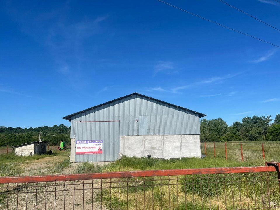 Hala de vanzare Costesti - Poză 12