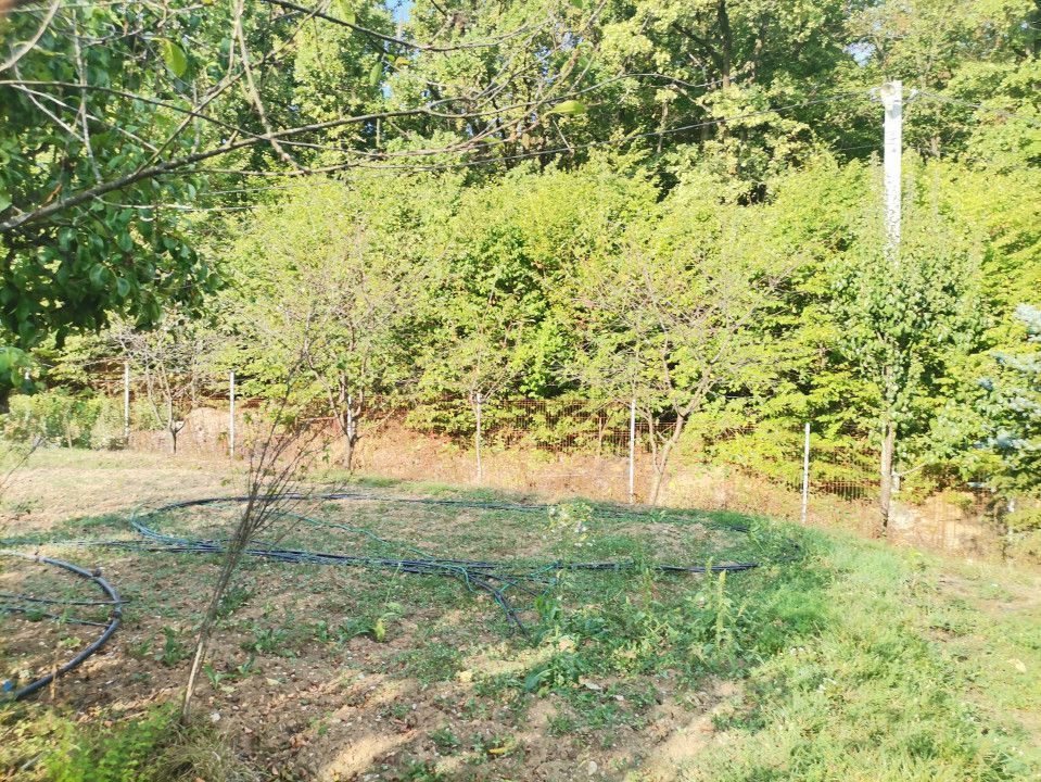 Vanzare teren intravilan Pitesti, strada Zamfiresti - Poză 8