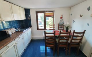 Vila de inchiriat/ Spatiu comercial.(etaj1/mansarda) Domenii - Poză 9