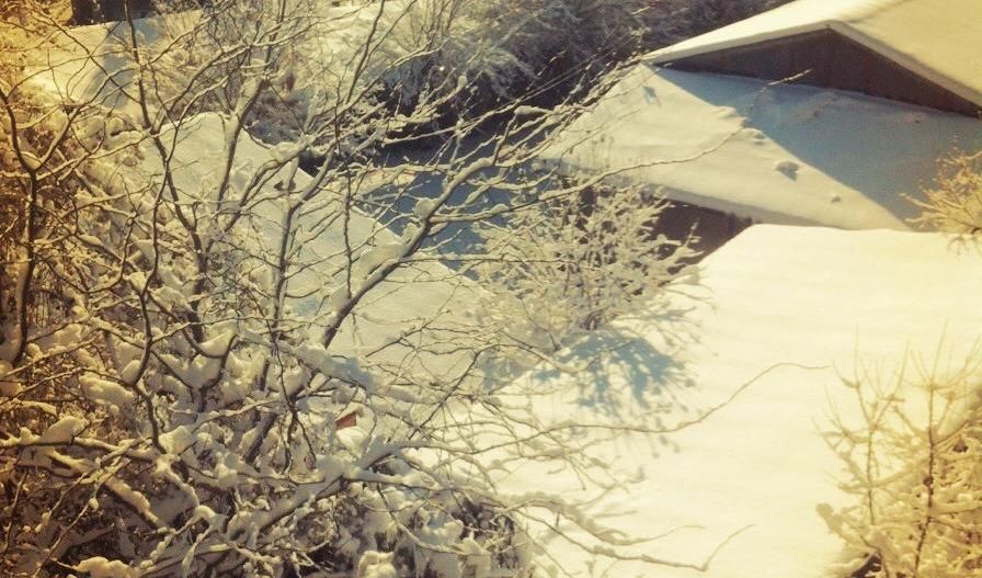 Apartament 3 camere + 1 birou,  Cotroceni, curte si gradina, metrou Eroilor - Poză 21