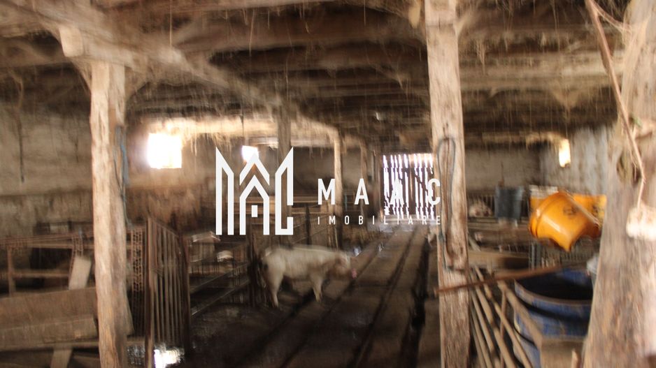 Ferma de Vânzare – Oportunitate Unică! - Poză 7