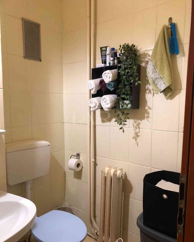 Apartament cu 2 camere, 54 mp, parter, zona Mănăștur. - Poză 9