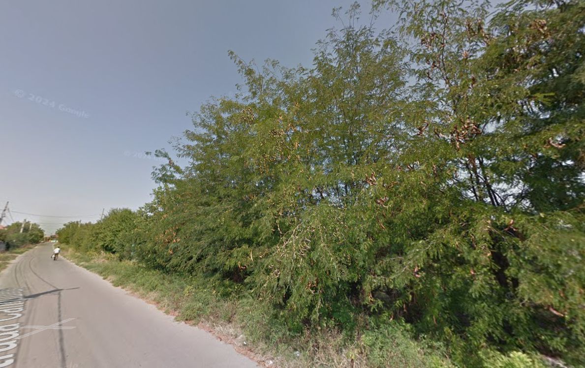 Teren intravilan Snagov pozitionat vizavi de centrul hipic Arcadia! - Poză 10