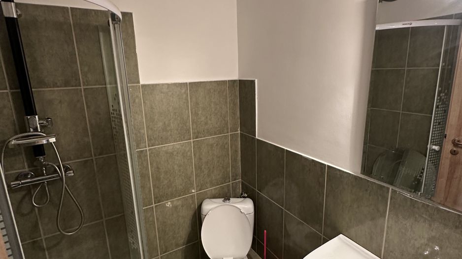 Proprietate cu piscina Dumbravita - Poză 33