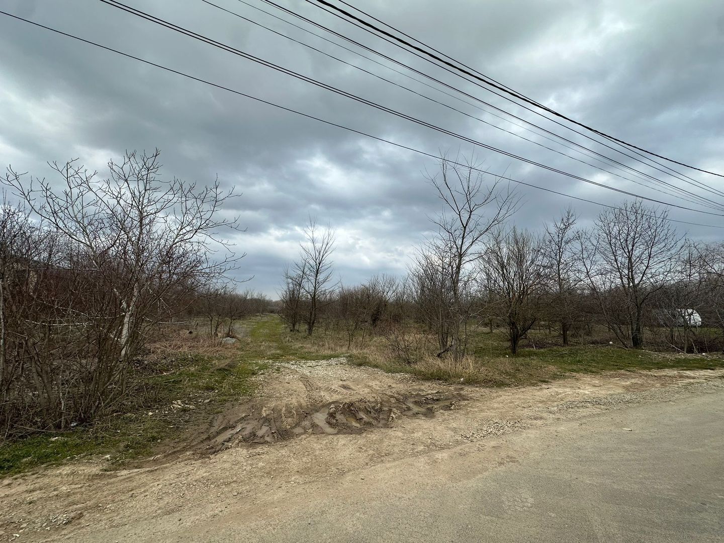 Teren intravilan cu PUZ aprobat 33.683 mp – Săftica/Balotești – deschidere DN1 - Poză 10