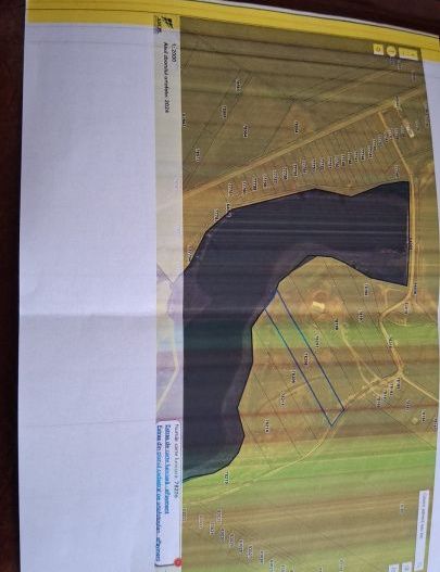 Teren la Balta La Gropi Berceni, Vidra, Ilfov - Poză 3
