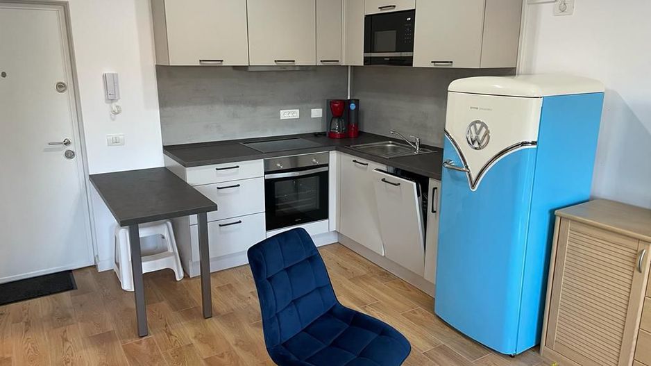 Apartament 1 camera  in Remetea  Mare - Poză 2