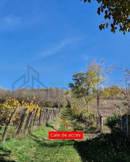 🏡 Teren intravilan 1308 mp Rediu | 9 min (5.8km) Copou / 9 min (5.8km) Pacurari - Poză 6