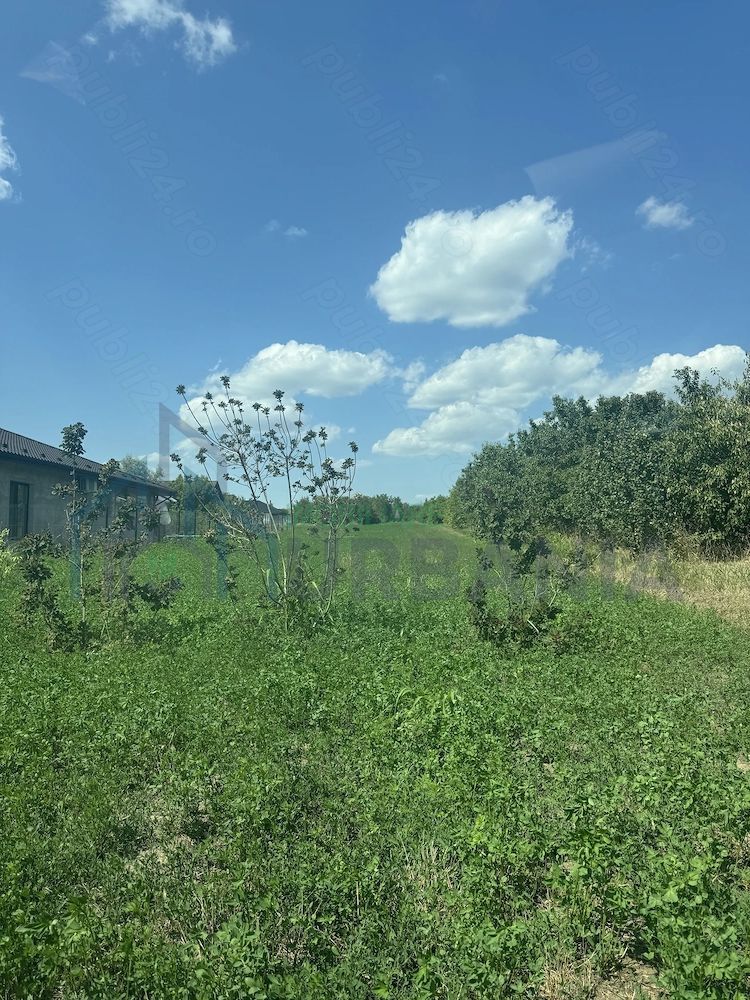 Teren intravilan Aroneanu - Poză 2