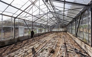 Vânzare, casă, 4 camere, str. Galați, Codru - Poză 20