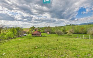 Casă cu teren de 17.681 mp, în loc. Hălmăgel, Arad - Poză 26