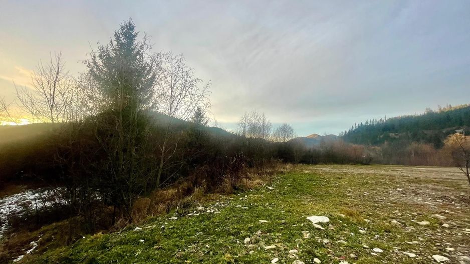 TEREN INTRAVILAN 2,26 HA | SUCEVITA | - Poză 5