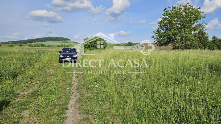 Teren intravilan 3000 mp Ernei – panorama superba, utilitati in zona - Poză 6