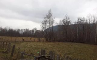 TEREN  INTRAVILAN 700 MP, LERESTI, ARGES - Poză 6