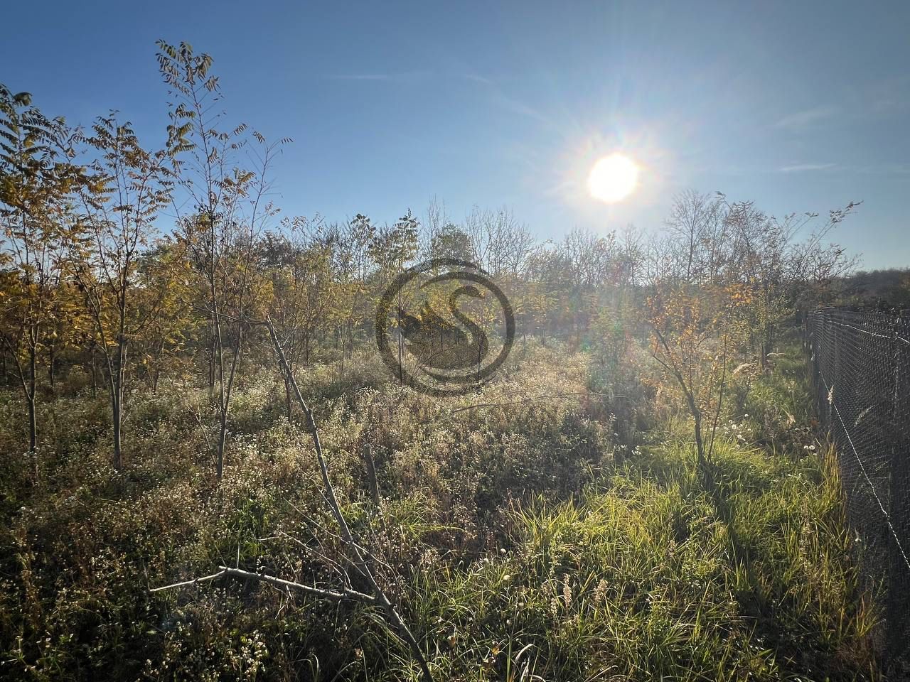 Teren intravilan de vanzare | 12.650 mp | Ghirdoveni | Comision 0% - Poză 11