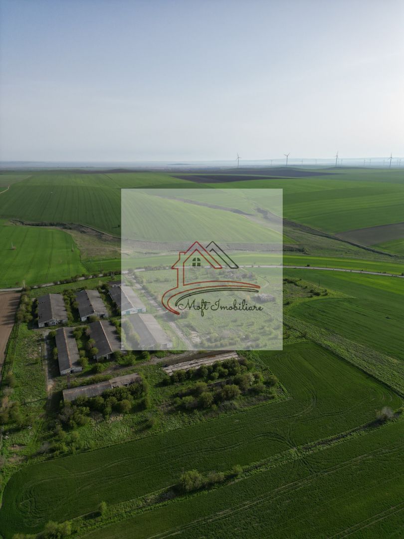 Oportunitate Investiție – Fermă 9,5 Ha cu 10.000 mp Construcții - Poză 3