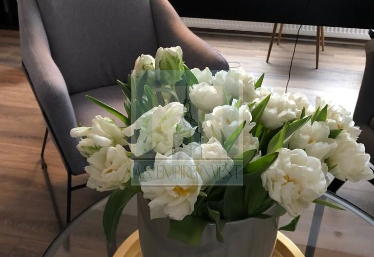 Spatiu pentru birouri de inchiriat in Centrul Istoric - Poză 7