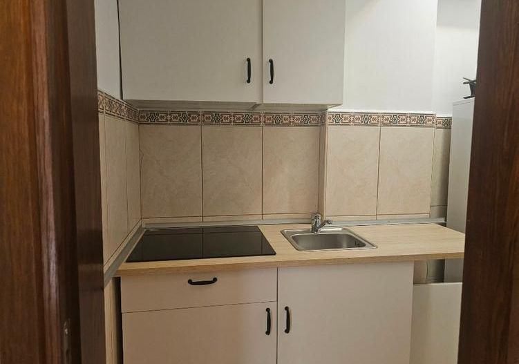 BRASADAS inchiriaza vila RENOVATA Unirii - Poză 10