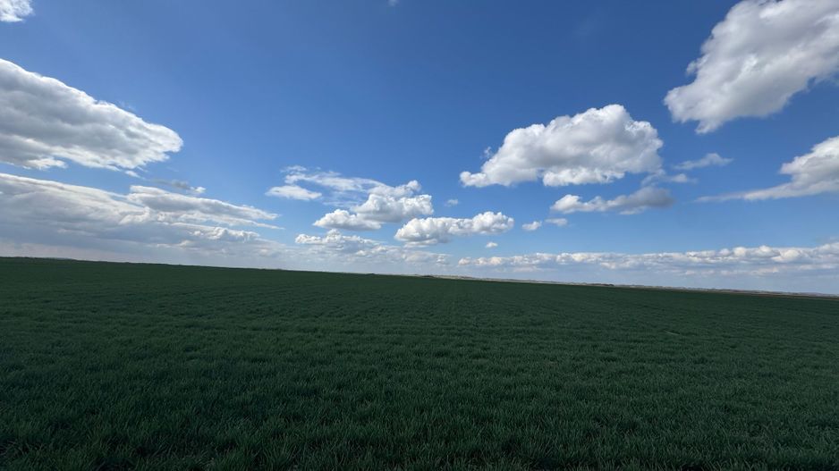 Teren extravilan 17700mp Biharia - Poză 5